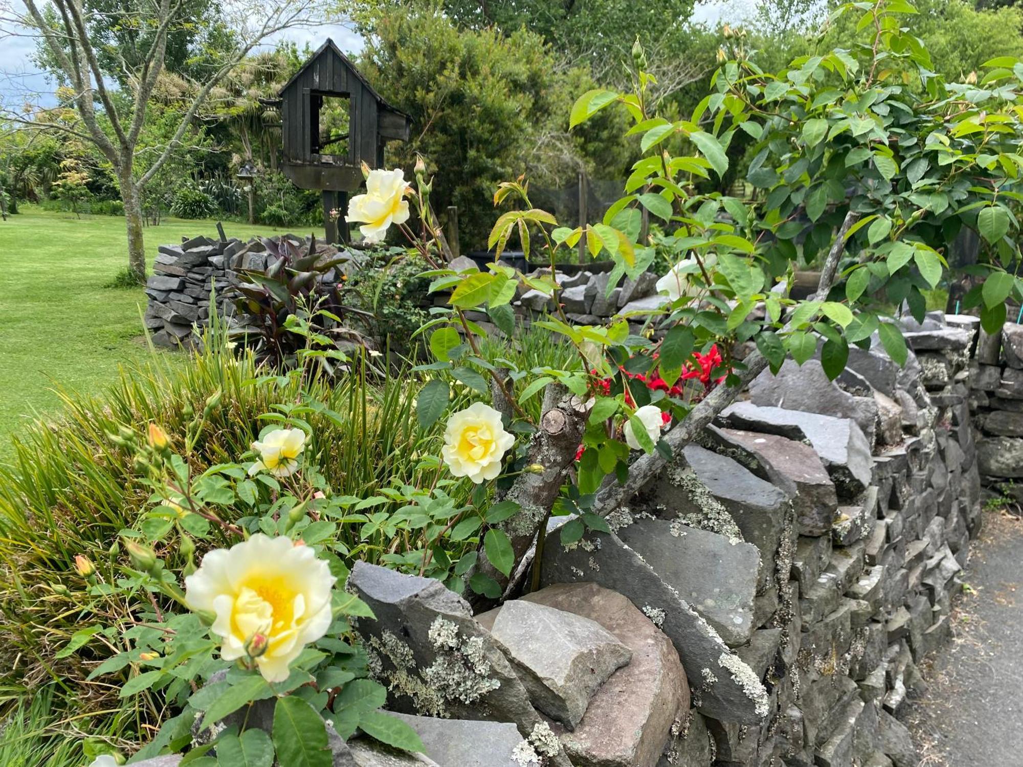 Willows Reach Lodge Kumeu Exterior photo